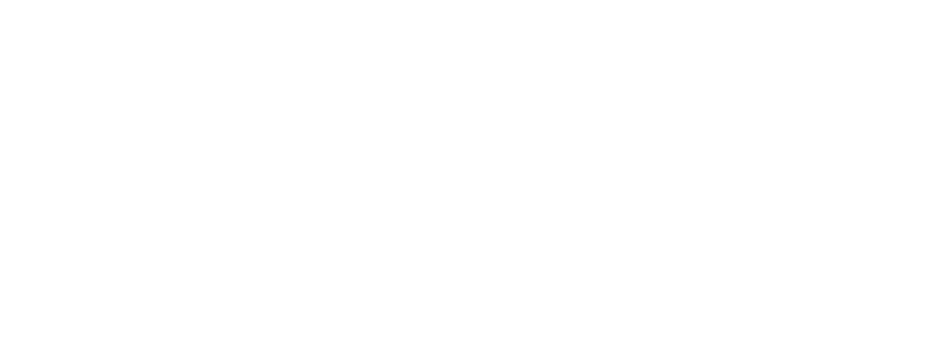 Albert by Zoomd